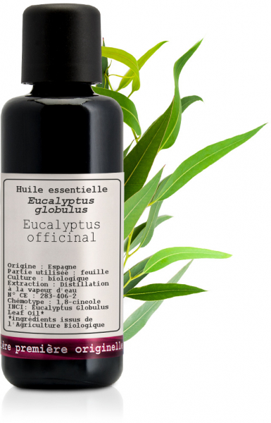Huile essentielle d'eucalyptus