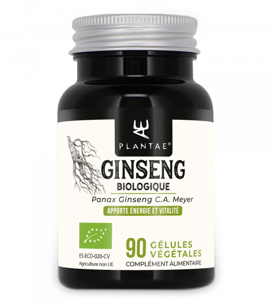 Ginseng rojo ecol&oacute;gico